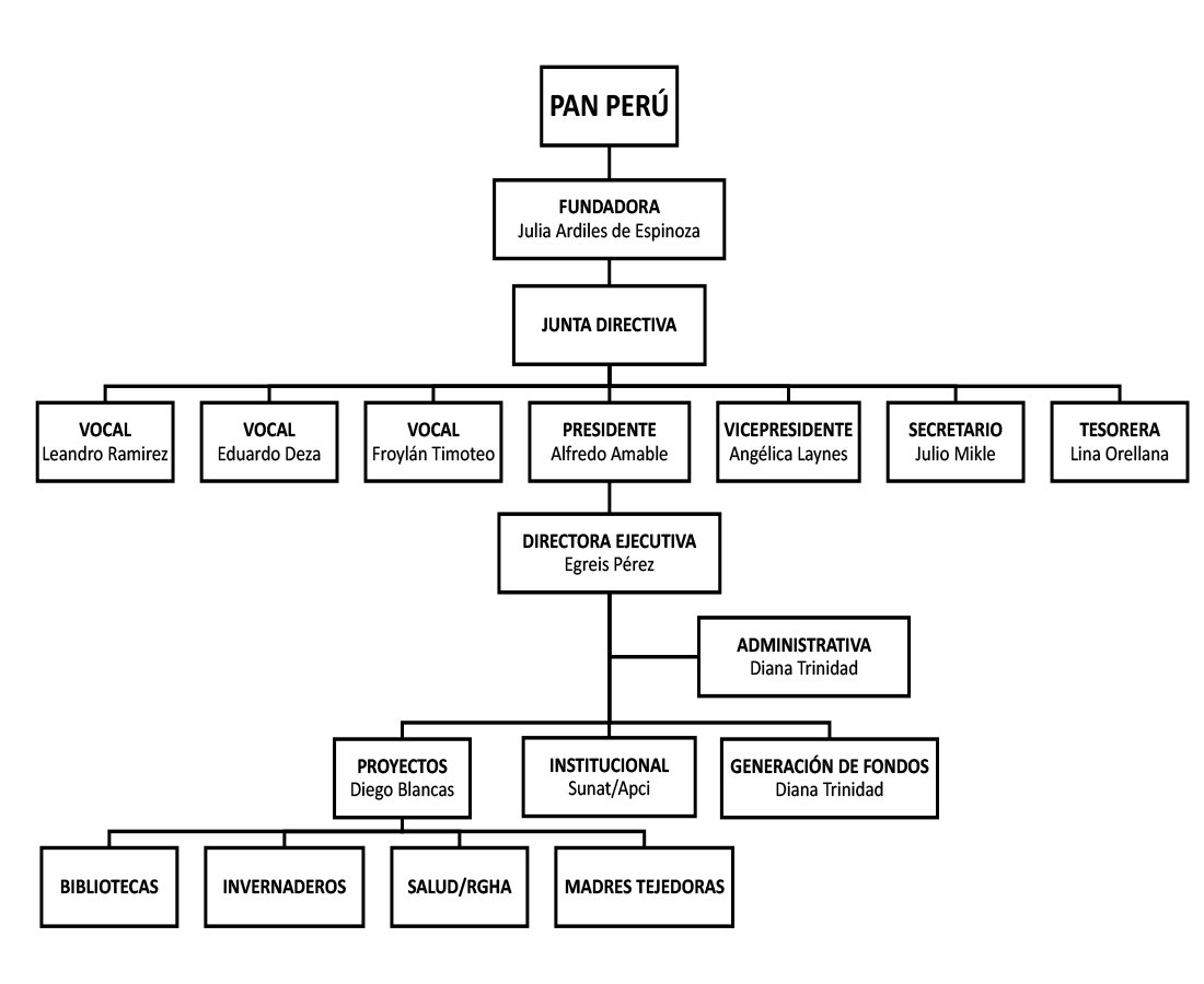 Organigrama Ong Mind Map Hot Sex Picture